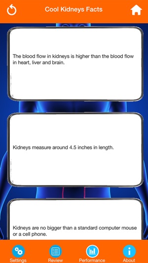 Human Body Parts : Kidneys Quiz(圖4)-速報App