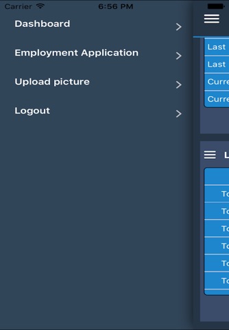 Lexicon Employment Application screenshot 2
