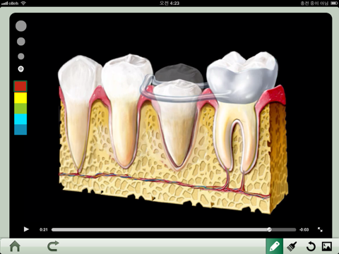 Dental iClinic screenshot 3