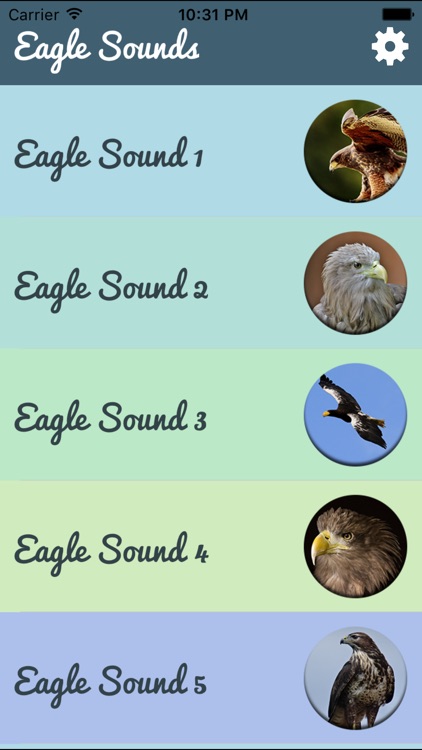 Eagle sounds – Bald Sound