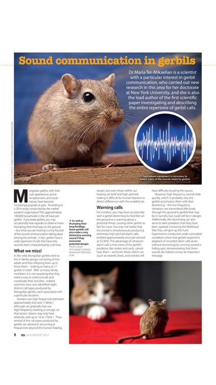 Small Furry Pets Magazine