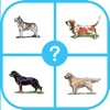 Dog Breed Quiz : Guess The Dog Trivia Pup Games