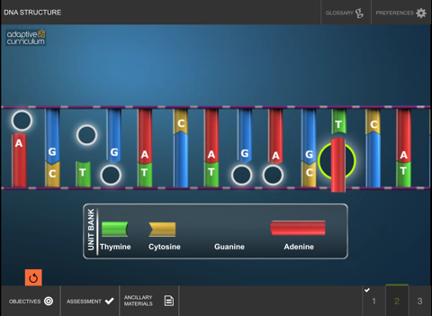 Exploring the Structure of DNA screenshot 3