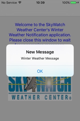 Skywatch Winter Weather screenshot 4