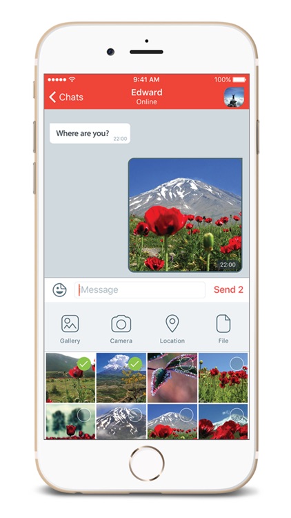 BisPhone Plus
