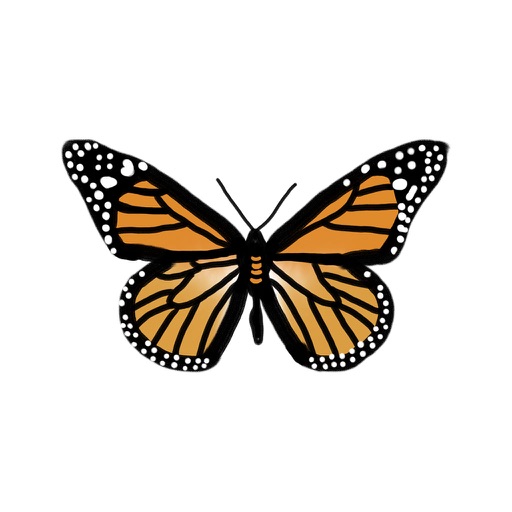 Colorful Butterflies