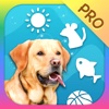 Dog Toy Pro - Dog Sounds and Games for Dogs