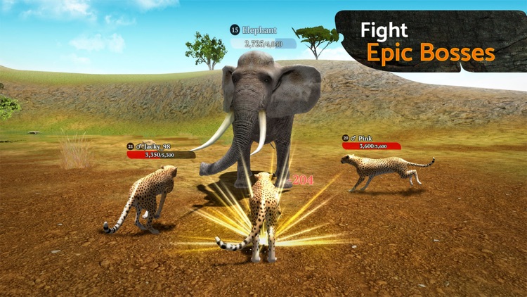 The Cheetah: Online RPG Simulator