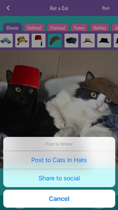 Cats In Hats screenshot 3