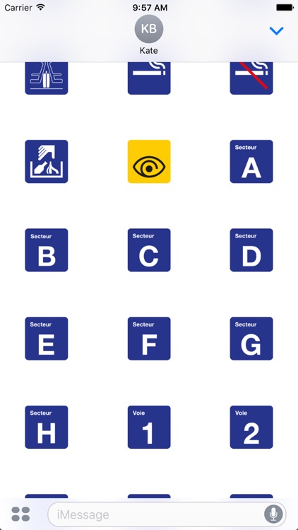 CFF pictogrammes