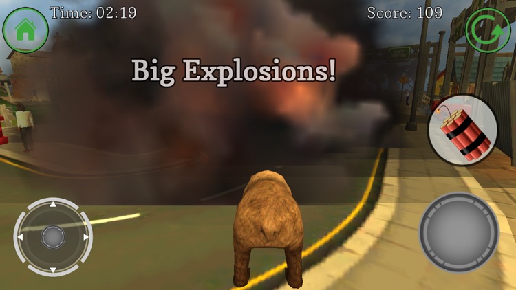 Bear On The Run Simulator screenshot-4