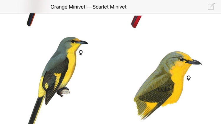 eGuide to Birds of the Indian Subcontinent screenshot-4