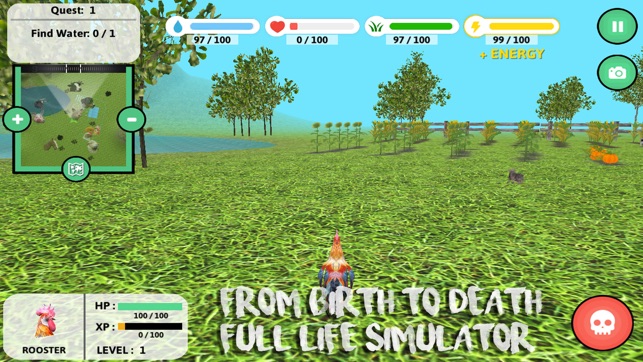 Rooster Simulator