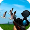 Bird Hunting Sim 3D