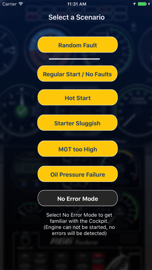 R66 Cockpit Trainer(圖4)-速報App