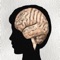 This verbal reasoning test (26 questions) is suitable for nine to twelve-year-old children and a challenge for parents