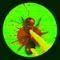 Ant smasher is a fun game for all age groups