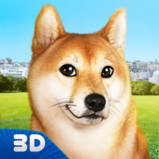 Activities of Shiba Inu Japanese Dog Simulator 3D