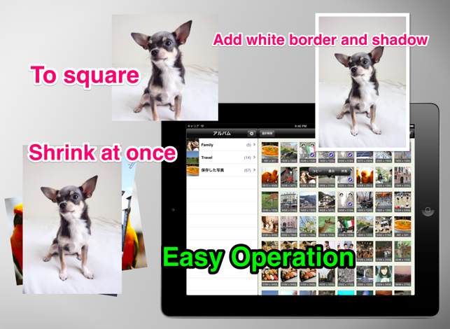 ‎BatchResizer - Quickly Resize Multiple Photos スクリーンショット