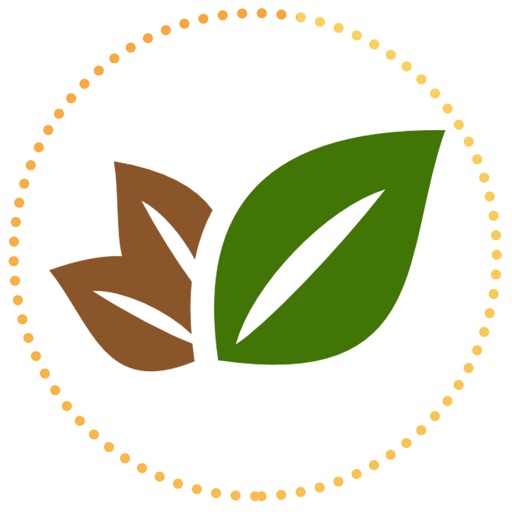 Essential Oils Reference Guide to Young Living