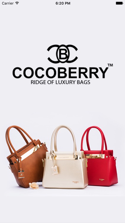 Cocoberry discount purse price