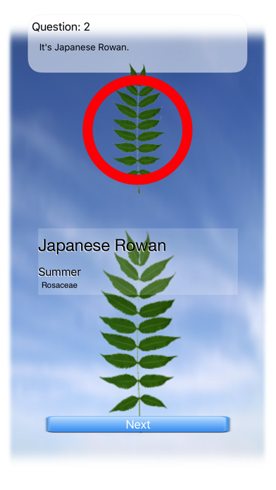 Leaves Quiz Touch screenshot1