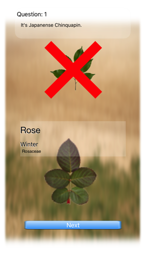 Leaves Quiz Touch(圖2)-速報App