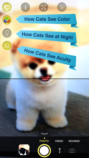 Cat Vision HD(圖2)-速報App