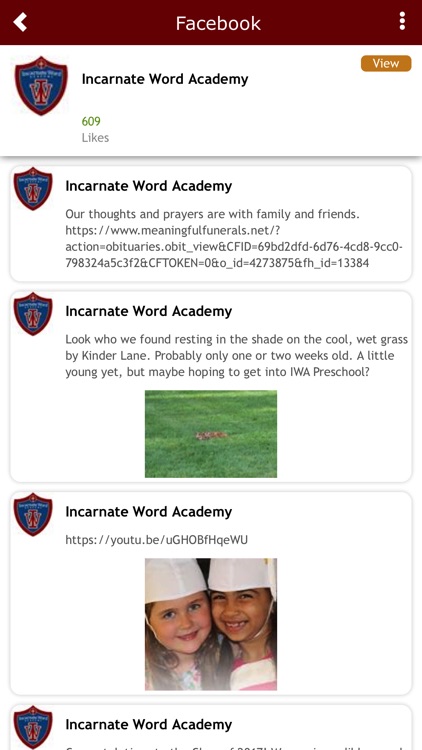 Incarnate Word Academy