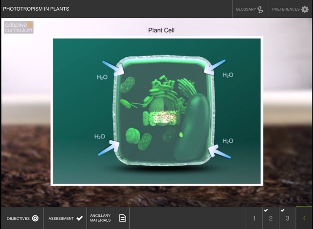 Phototropism in Plants(圖3)-速報App