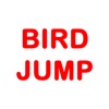Bird Jump Game