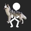 Squat Your Dog!