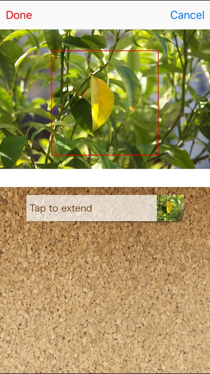 Sticky Note QuickMemo+
