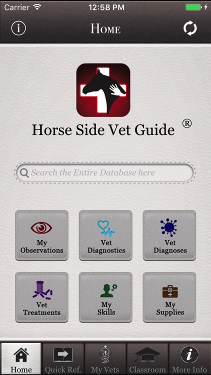 Horse Side Vet Guide - Equine Health Resource