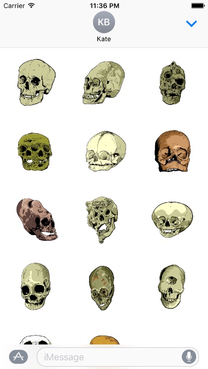 Skull Art Sticker Pack