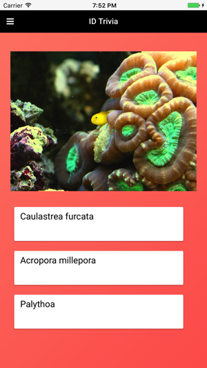 Coral Species: Types of Coral(圖4)-速報App