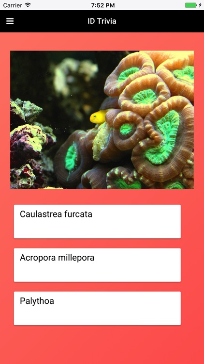 Coral Species: Types of Coral screenshot-3