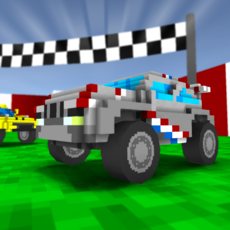 Activities of Blocky Rally Racing