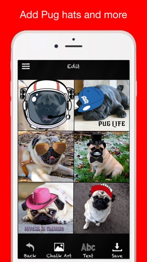 Pug Chalk Sticker Photo Editor(圖4)-速報App