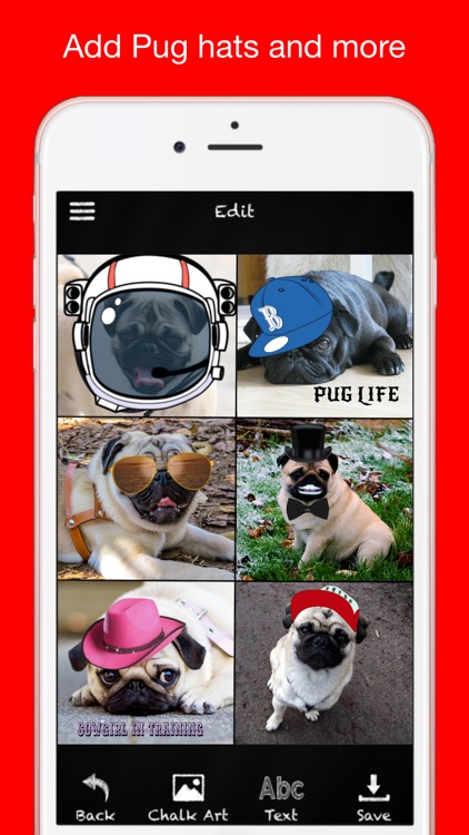 Pug Chalk Sticker Photo Editor screenshot-3