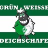 Grün-Weiße Deichschafe