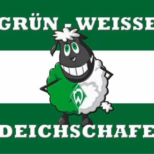 Grün-Weiße Deichschafe