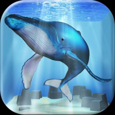 Activities of Healing Whale Life Simulation Game