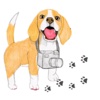 Travel of Beagle Dog Sticker
