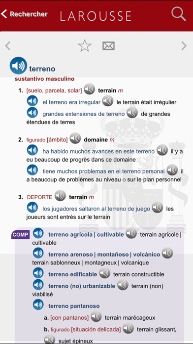 Grand Dictionnaire Espagnol/Français Larousse Screenshot 2