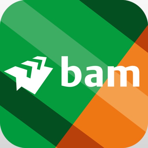 BAM VR