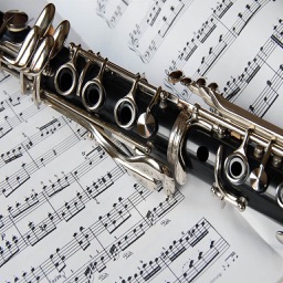 Pad Quick Fixes: Clarinet Instrument Repair 