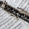 Take a Master Class in how to play the Clarinet with yhis collection of 191 tuitional video lessons