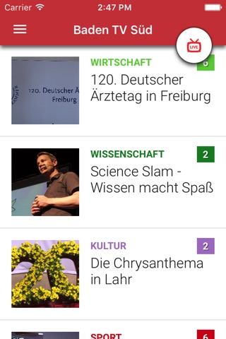 Baden TV Süd screenshot 4
