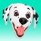 Do you have a Dalmatian